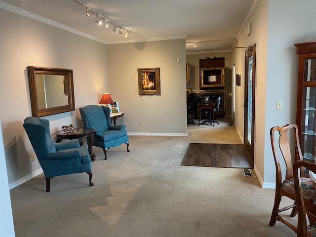 sitting room with rail lighting and ornamental molding