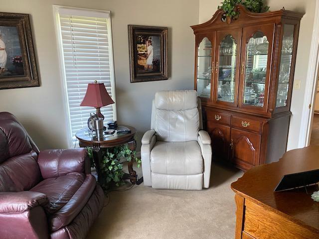 living area featuring light carpet