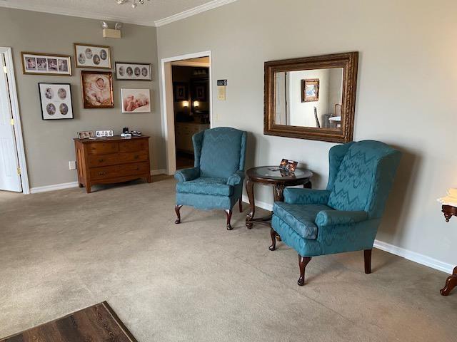 sitting room featuring light colored carpet and ornamental molding