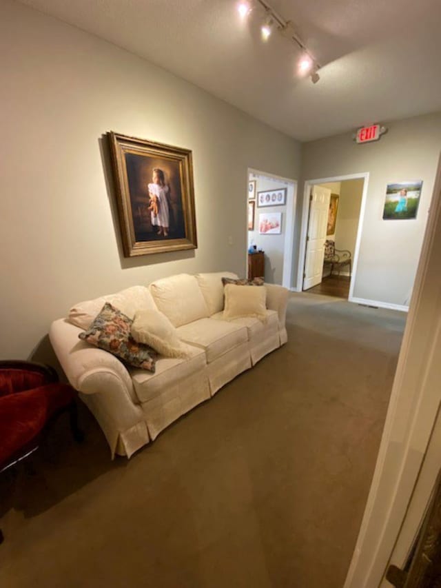 living room featuring carpet flooring and rail lighting