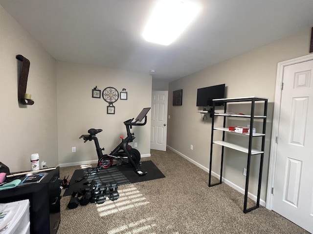 workout area featuring carpet floors