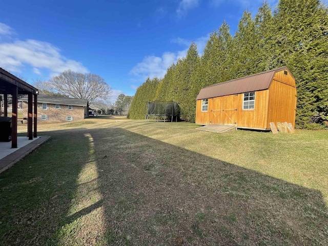 view of yard featuring a storage shed and a trampoline