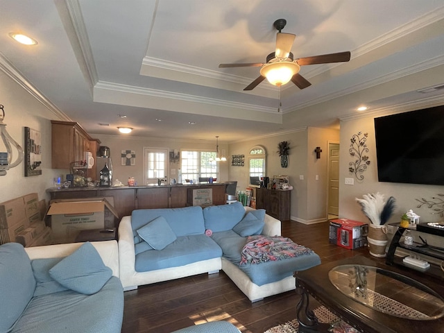 living room with dark hardwood / wood-style floors, a raised ceiling, ornamental molding, and ceiling fan with notable chandelier