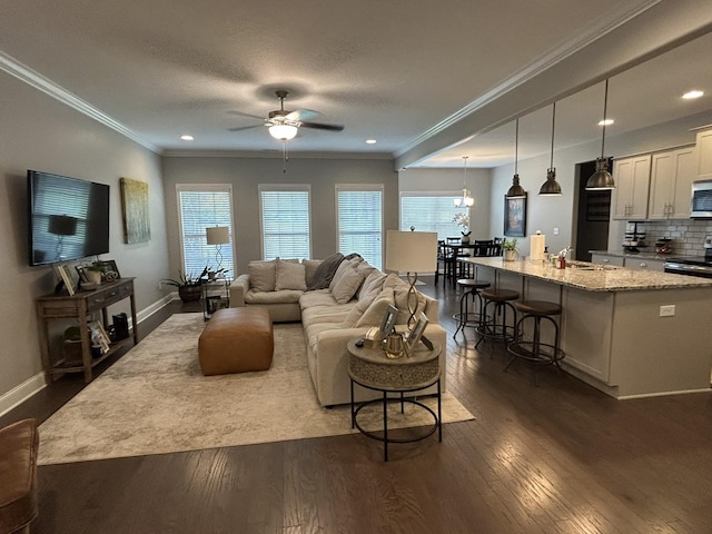  - living area featuring ceiling fan, dark wood-style floors, plenty of natural light, baseboards, and crown molding
