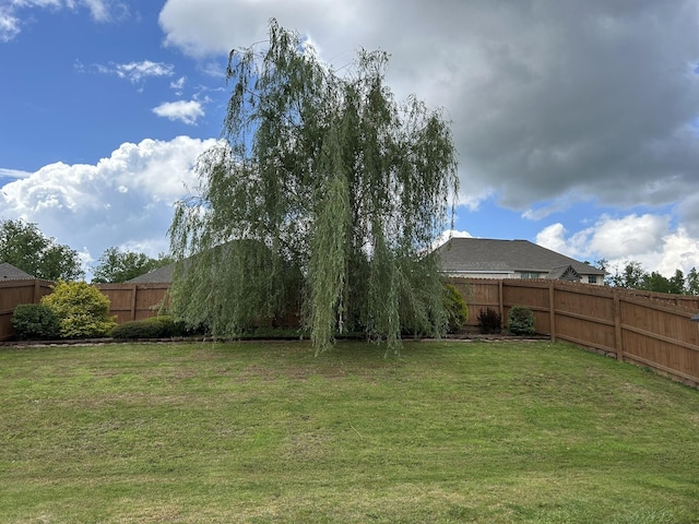  - view of yard