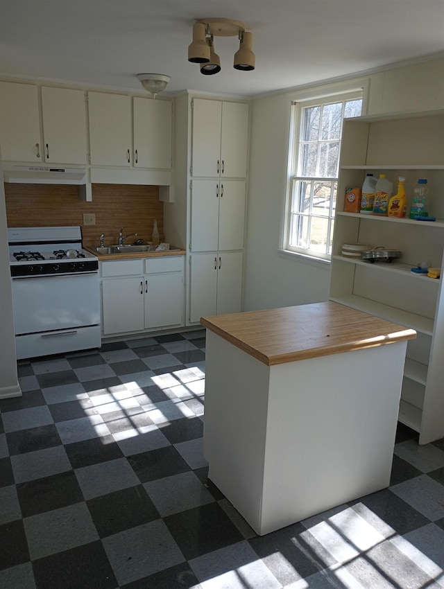 kitchen with dark floors, white gas range oven, under cabinet range hood, and a sink