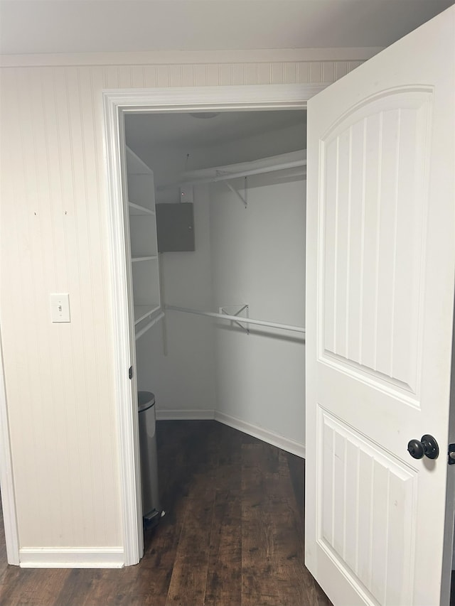 spacious closet featuring dark wood-type flooring