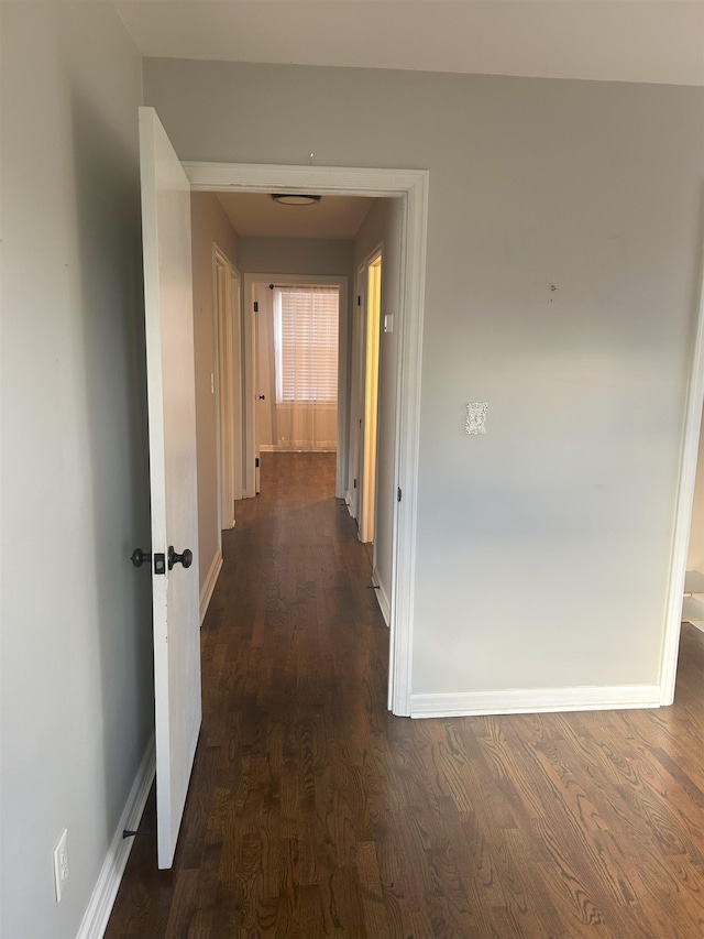 hall with dark wood-type flooring