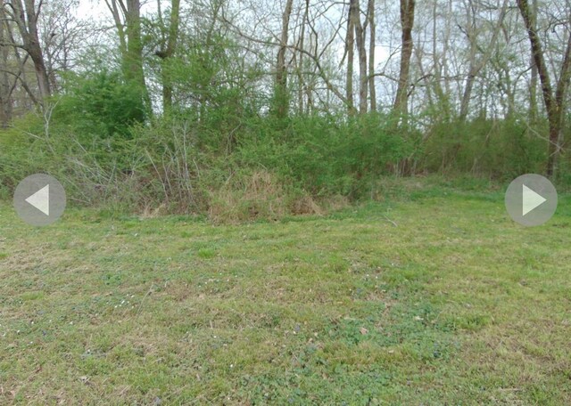  - photo 2