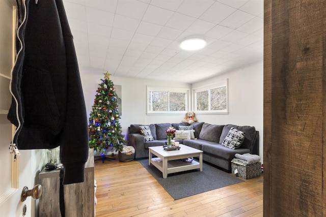 living room featuring light wood-type flooring