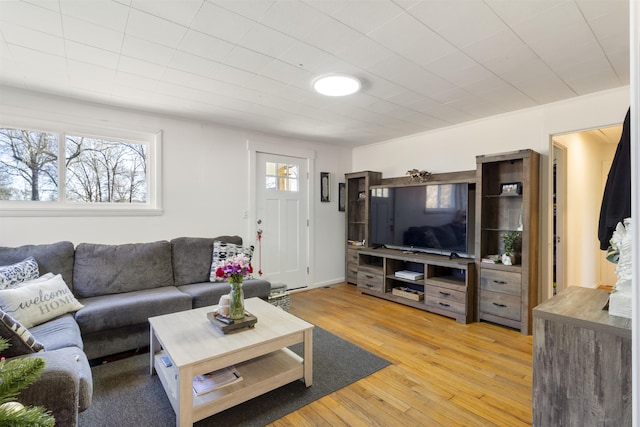 living room with light hardwood / wood-style flooring