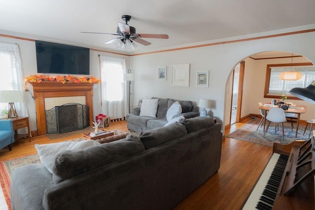 living room with hardwood / wood-style floors, a fireplace, ceiling fan, and crown molding