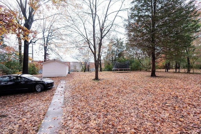 view of yard with a trampoline