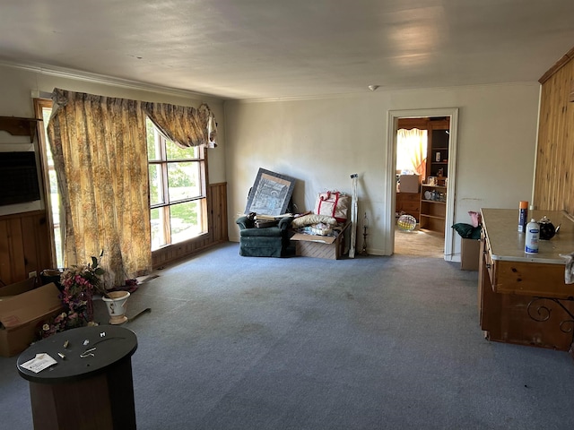 sitting room featuring carpet flooring