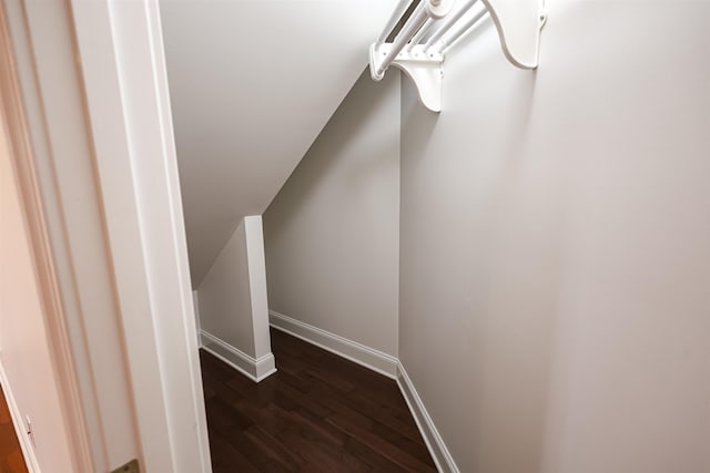 walk in closet featuring lofted ceiling and dark wood-type flooring