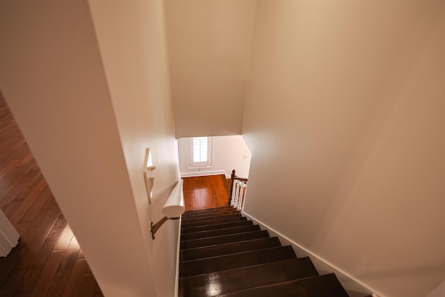 stairs featuring wood finished floors