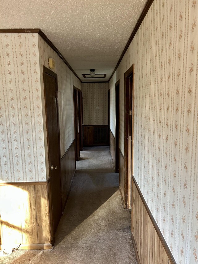 hall featuring wallpapered walls, crown molding, wainscoting, and a textured ceiling