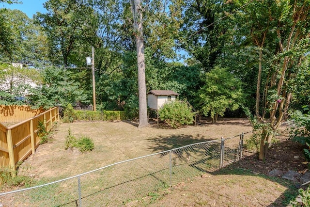 view of yard with a storage unit