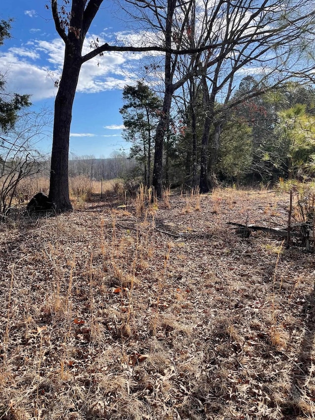 view of local wilderness