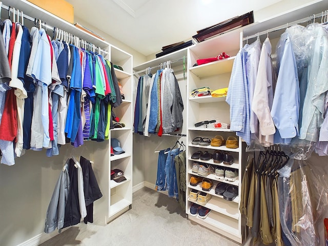 view of walk in closet