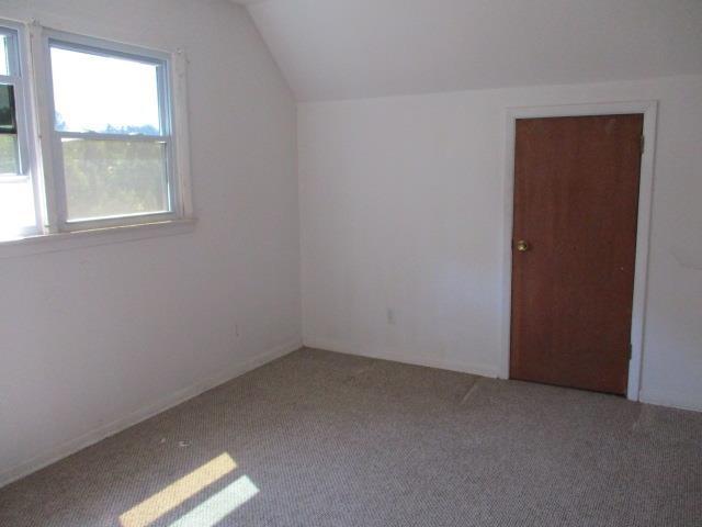 additional living space featuring light colored carpet and vaulted ceiling