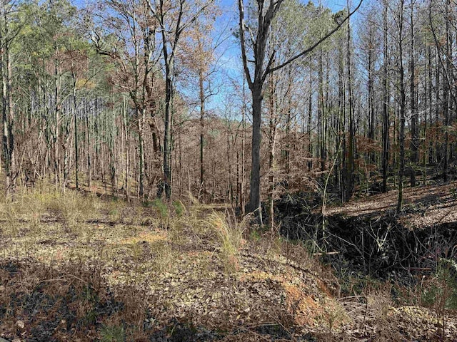 400 Underwood Mountain Rd, Tuscumbia AL land for sale