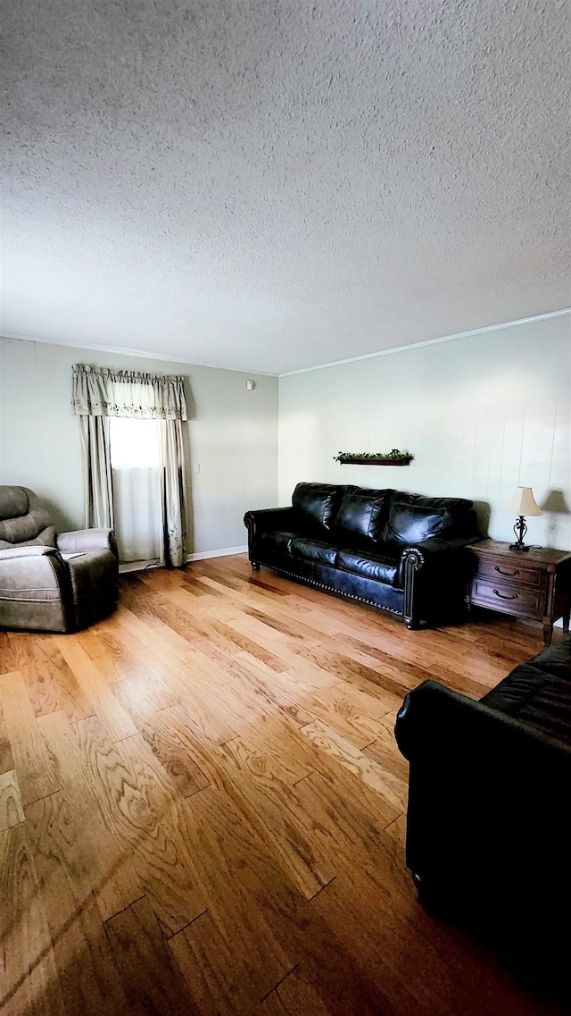 living room featuring hardwood / wood-style flooring and a textured ceiling