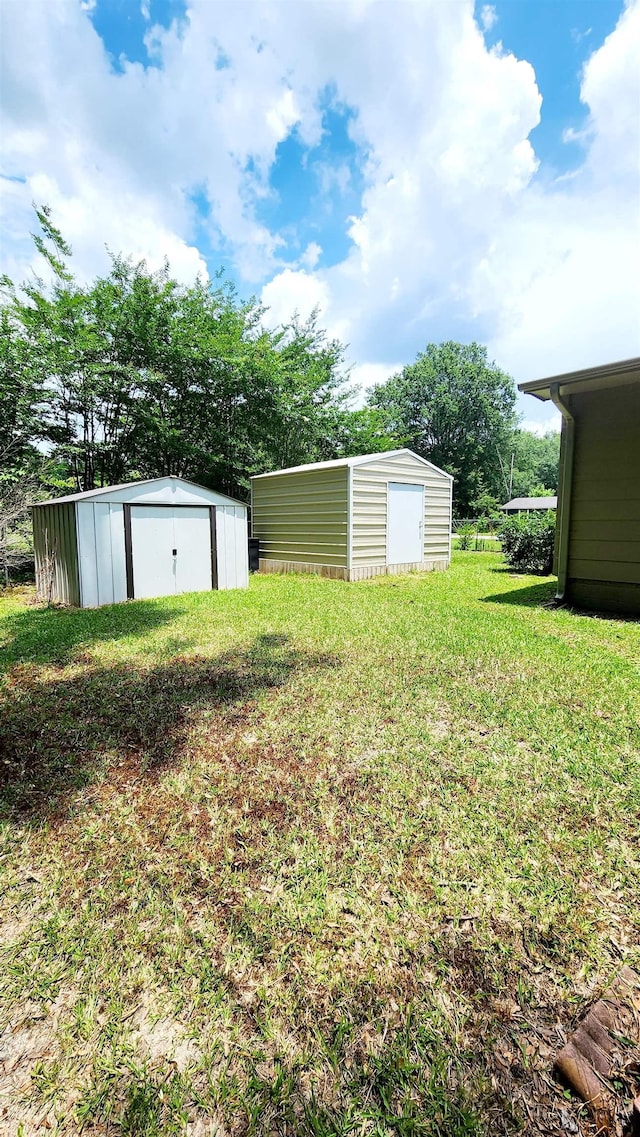 view of yard with a storage unit