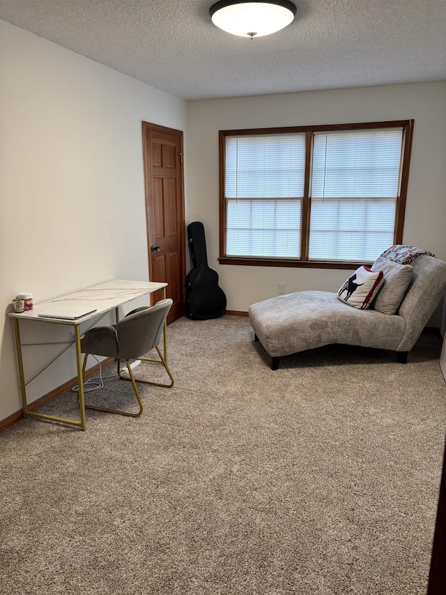 interior space featuring baseboards and a textured ceiling