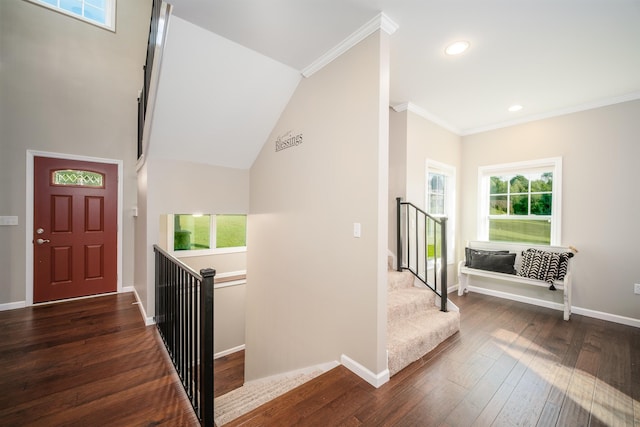 foyer featuring dark wood-style floors, a healthy amount of sunlight, and baseboards