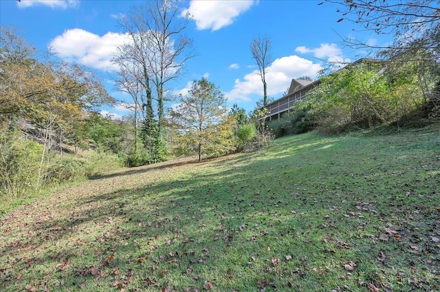  - view of yard