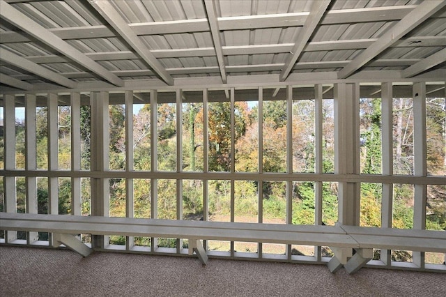  - unfurnished sunroom featuring carpet