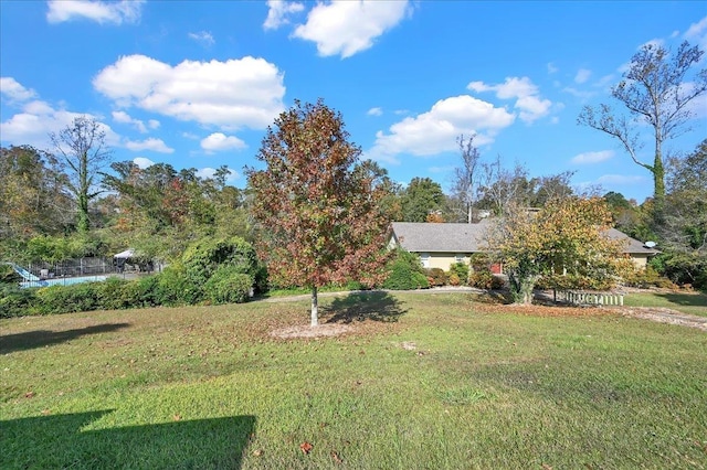  - view of yard