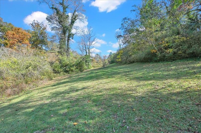  - view of yard featuring a view of trees