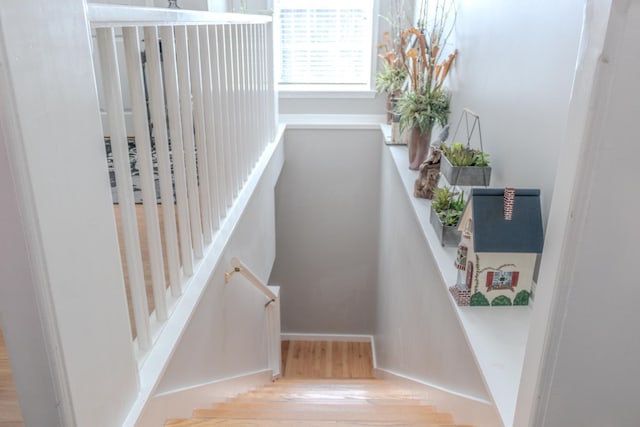 stairway with hardwood / wood-style flooring