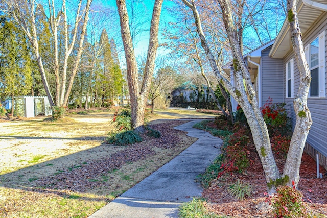 view of yard