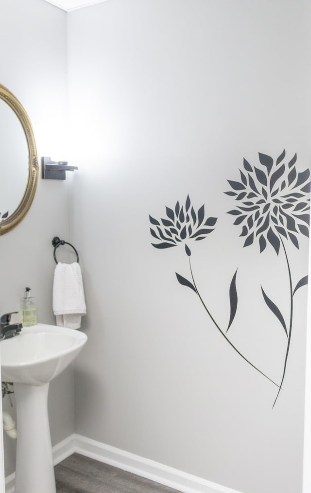 bathroom featuring wood-type flooring