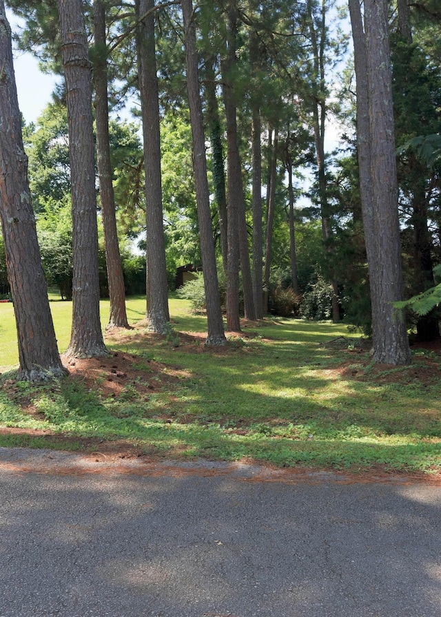  - photo 28