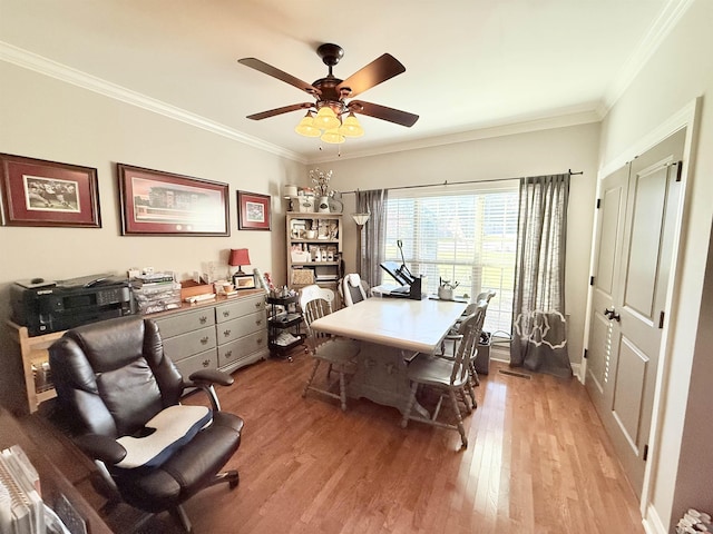 dining area featuring ceiling fan, light hardwood / wood-style floors, and ornamental molding