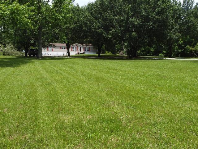  - view of grassy yard