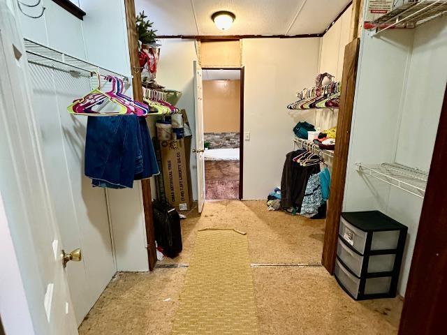  - walk in closet with light carpet