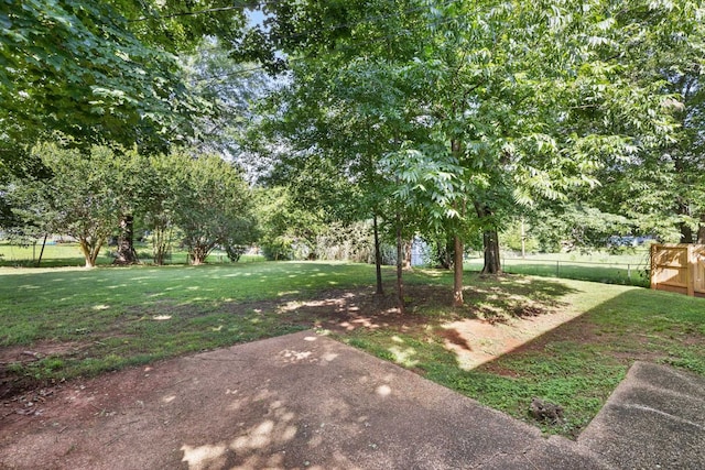  - view of yard