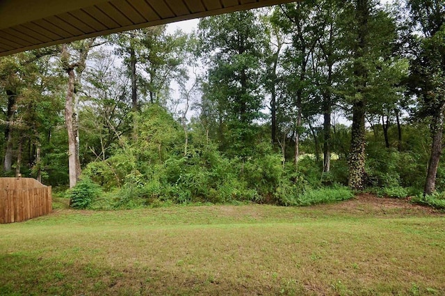  - view of grassy yard