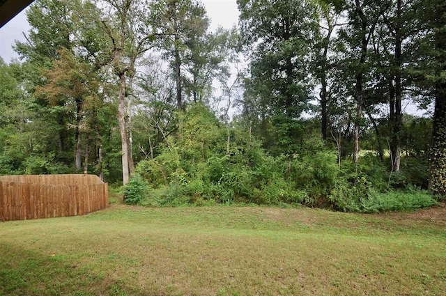 - view of yard