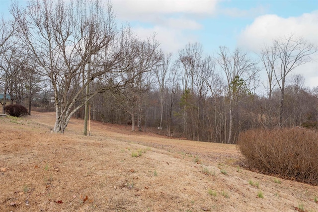 view of local wilderness