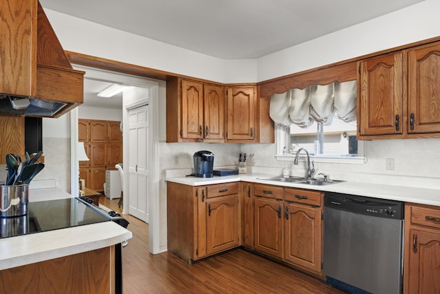 kitchen with stainless steel dishwasher, dark hardwood / wood-style floors, and sink