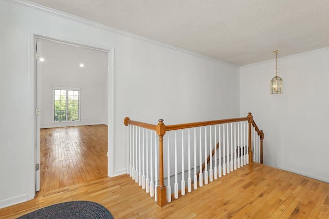 hall with wood-type flooring, ornamental molding, and a textured ceiling