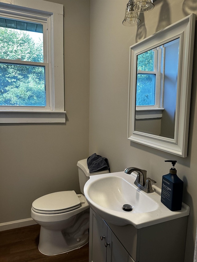 bathroom with vanity, hardwood / wood-style flooring, and toilet