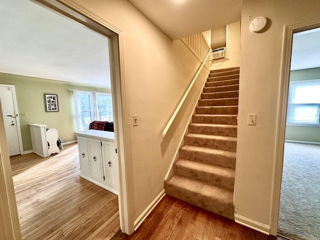 stairway with hardwood / wood-style flooring and a healthy amount of sunlight