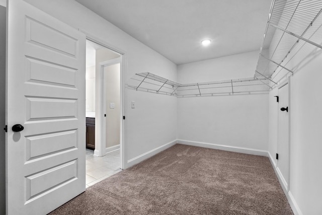 walk in closet featuring carpet floors